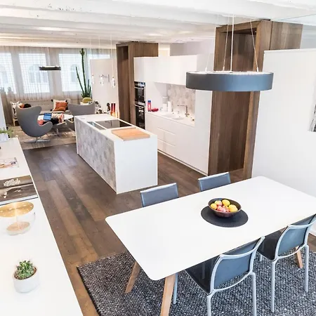 The Architects Nest - Design Loft Graz